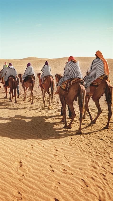 100 Camel Wallpapers