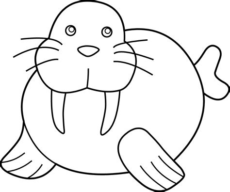 Cute Walrus Coloring Page Free Clip Art