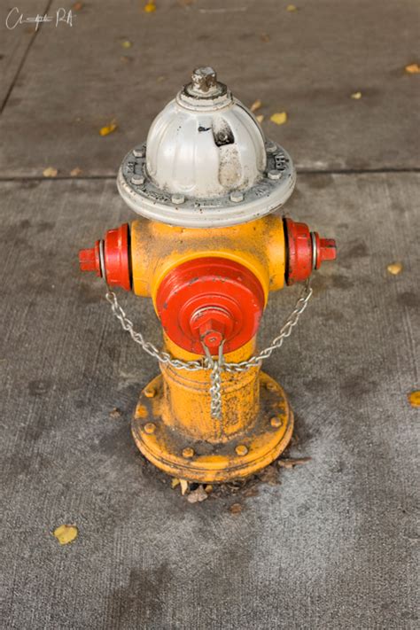Fire Hydrant Photography Ever Think Hyrdants Look Like Firemen