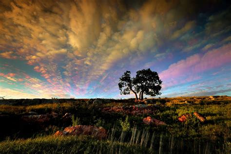 Summertime prairie outside of Luverne, Minnesota [2000x1333] Photo by ...