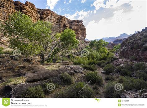 Green Trees Inside Grand Canyon Stock Image Image Of Green River