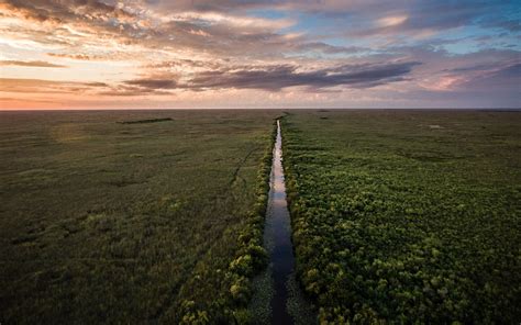 The Everglades Wallpapers Wallpaper Cave