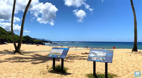 Walks ‘waimea Bay North Shore Oahu Hawaii 4k Boomers Daily