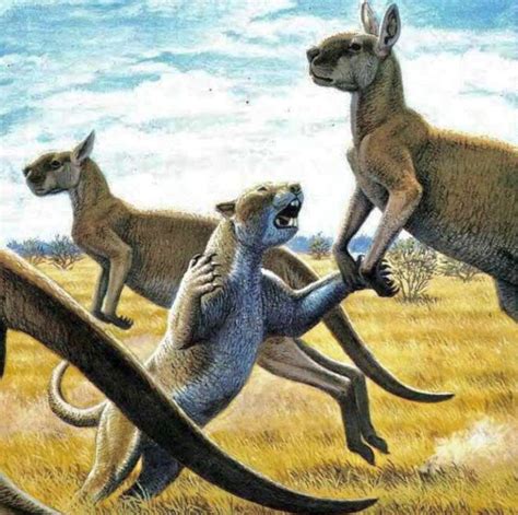 Extinct Marsupial Animals