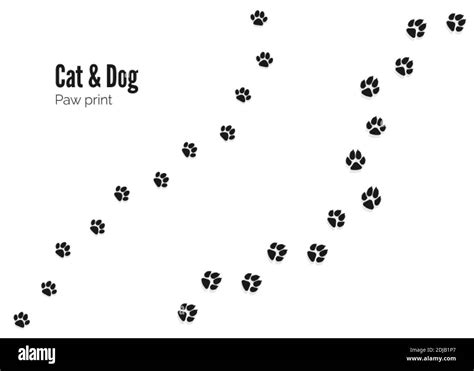 Cat And Dog Paw Print Pets Or Animals Paw Trail Vector Illustration