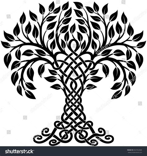 Vector Ornament Decorative Black And White Celtic Tree Of Life Celtic