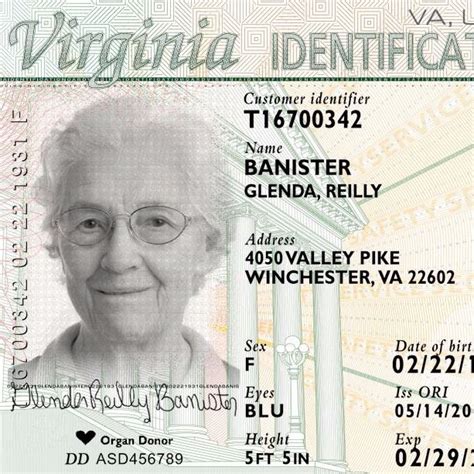 Driver's licenses and state identification (id) cards are issued by the state in which you reside; Hampton, VA - Official Website