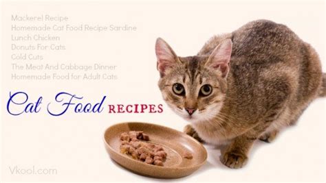 While in some cases cats may urinate outside the litter box as a means of marking his territory, this is. 10 Best homemade cat food recipes