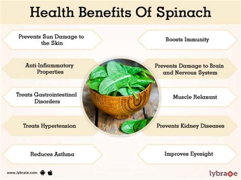 Benefits Of Spinach And Its Side Effects Lybrate