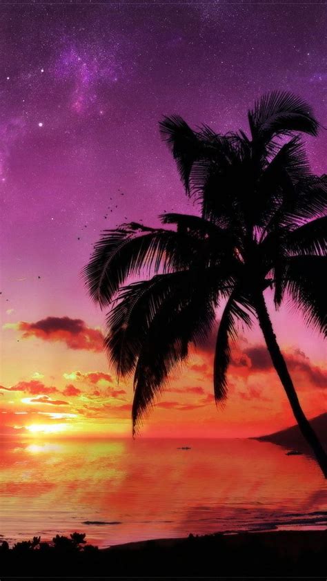 Sunset W Palm Trees Iphone 5s Wallpapers Pinterest Mauve