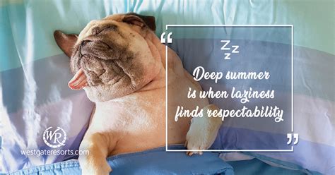 deep summer is when laziness finds respectability travel motivation quotes