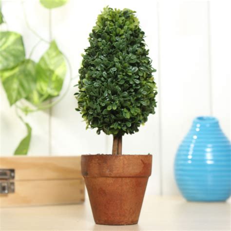 Maybe you would like to learn more about one of these? Artificial Potted Plant Plastic Garden Grass Ball Topiary ...