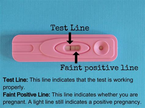 What Is The Meaning Of Faint Line On Pregnancy Test Pregnancywalls