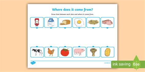 Where Does Food Come From Worksheet Teacher Made