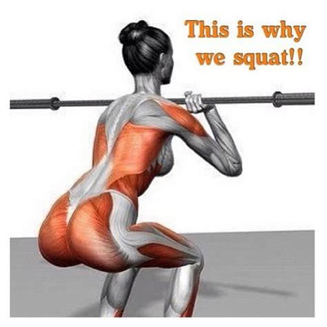 30 Squats And 40 Lunges A Day For Two Weeks Will Tone Your Butt And