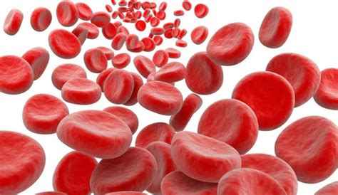Low Red Blood Cell Count Cancer Symptoms And Signs Cancerease