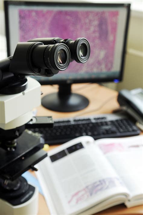 Get contact details & address of companies manufacturing and supplying pathology lab equipments, pathology lab items, path lab items across india. Pathology services - Valstybinis patologijos centras