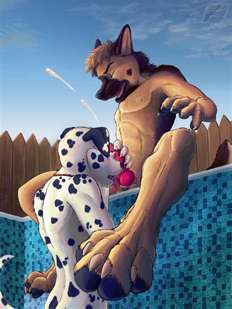 Rule 34 Anthro Canine Canine Penis Closed Eyes Collar Cum Dalmatian