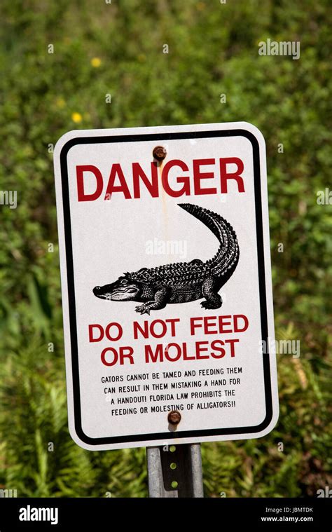 Aligator Danger And Warning Sign Florida Usa April 2017 Do Not Feed Or