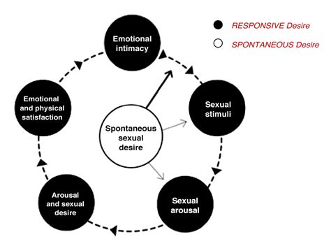 female sexual responsiveness a circular model the relationship blog