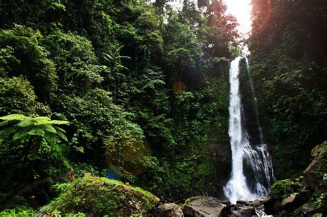 While it has land borders with malaysia to the north as well as east timor and papua new guinea to the east, it also neighbors australia to the south, and palau, the philippines, vietnam, singapore. Indonesia Facts for Kids