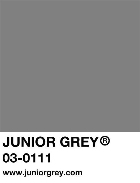 Pantone Grey Pantone Color Pantone Color Swatches
