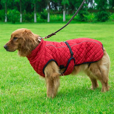 Best Indoor Dog Coat At Sharon Salas Blog