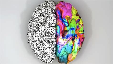 The Left Brain Right Brain Distinction Is As Fake As It Always Sounded