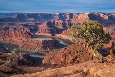 Dead Horse Point Canyonlands Overlook By Pedro Lastra Unsplash
