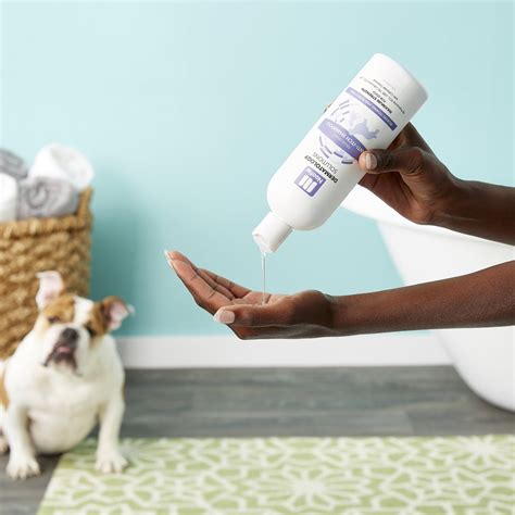 Nootie Medicated Anti Itch Dog Shampoo 16 Oz Bottle