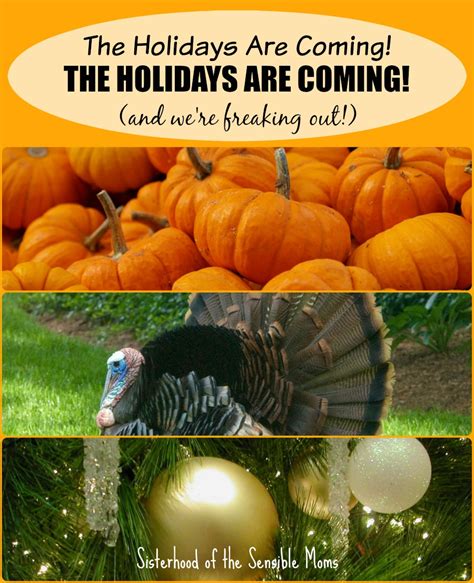 The Holidays are Coming! (And We're Freaking Out!) - Sisterhood of the