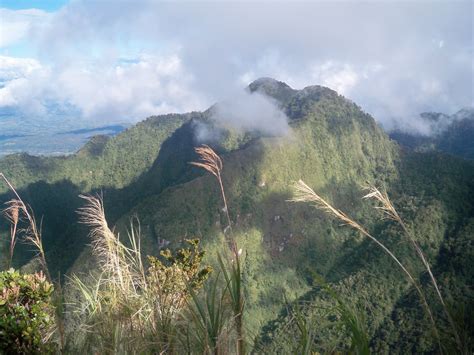The english for dulang is tray. Mt. Kitanglad and Dulang-dulang Traverse - Rice and Fries