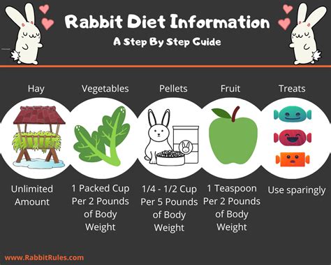 Best Diet For Rabbits Healthy Foods Pellets Veggies Hay Amount