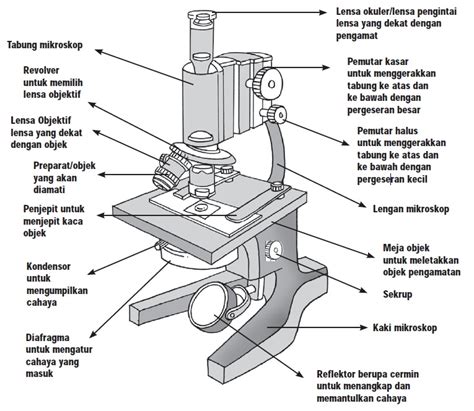 Bagian Bagian Mikroskop Dan Cara Penggunaannya Fisika Zone