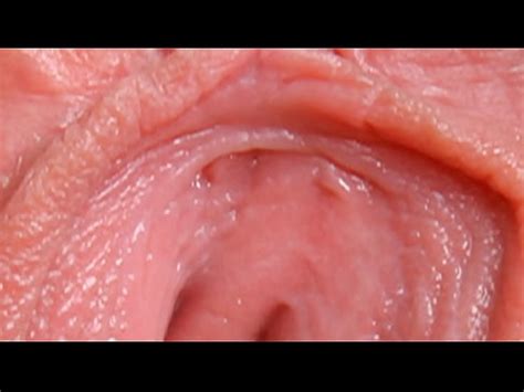 Female Textures Push My Pink Button HD 1080p Vagina Close Up Hairy