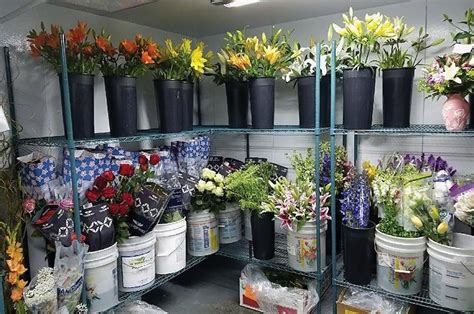Flower Shop 2021 Fifth Street Flower Shop Retail