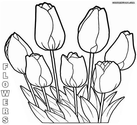 Flower coloring pages | Coloring pages to download and print