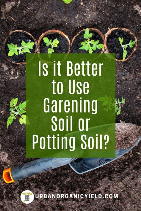 Peat raises the ph of your soil and my not be the best for ivy plants. What Soil is Best to Use in Your Vegetable Garden? in 2020 ...