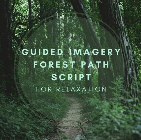 Guided Imagery Forest Path Script For Relaxation Guided
