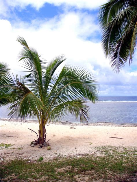 Country Livings Simple Delights My Dream Places In Tonga