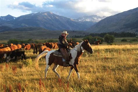 The Best Ranch Vacations Of The West American Cowboy Western