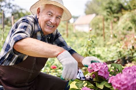 13 Best Gardening Tools For Seniors Our Elderly Favorites Suddenly