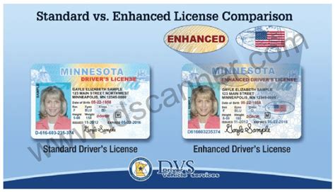 Order from us, you have to first place a custom order custom order option and it will charge only $50 for a single card. Minnesota Now Offers Federally-Approved Border-Crossing Documents - February 2014 | IDScanner.com