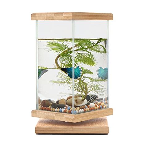Segarty 360 Degree Revolving Desktop Fish Tank Bamboo Unique Fish
