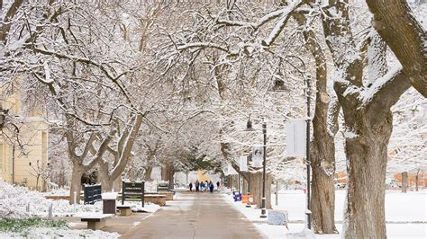 Stay Informed With USU Safety Tools, Aggie Safe App