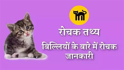 Cat Facts In Hindi बिल्ली के बारे में रोचक तथ्य
