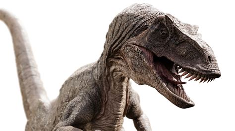 Raptor Dinosaur 3d Model Realistic And Rigged Blendernation Bazaar