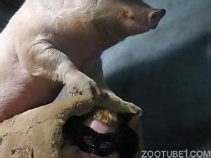 Mature Porn Videos Most Viewed Zoo Tube 1