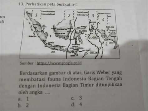 Pengertian Garis Weber Dan Garis Wallace – Materi Belajar Online