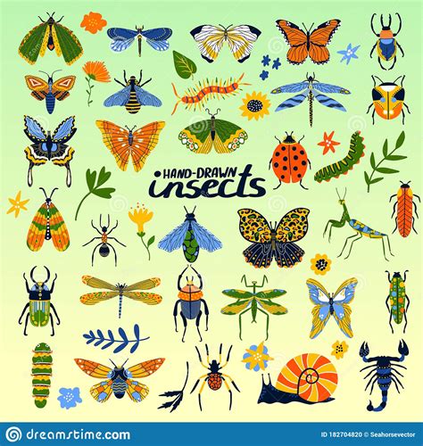 Insects Collection Of Beetles Bee Ladybug Butterfly And